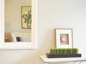 Services Adelaide Glaziers 2 Mirrors Adelaide